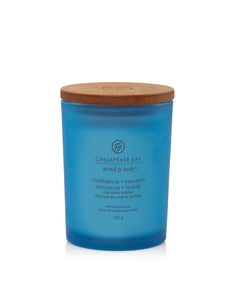 Chesapeake Bay Oak Moss Amber Medium Candle