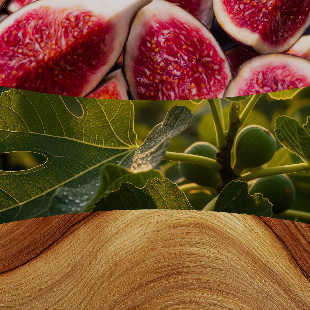WoodWick Verdant Fig Medium Candle