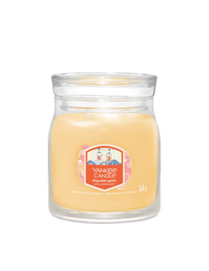 Yankee Candle Slopeside Spritz Medium Jar