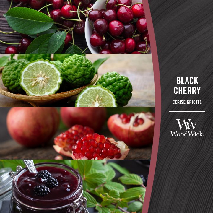 WoodWick Black Cherry Ellipse Candle