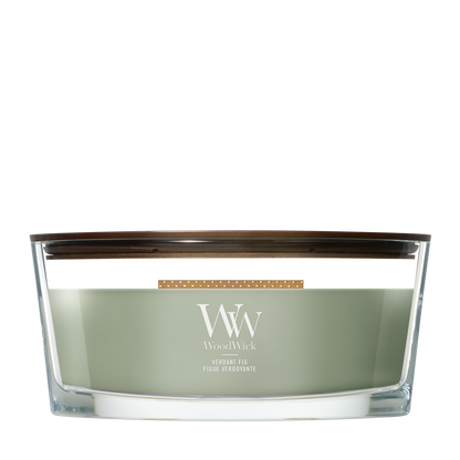 WoodWick Verdant Fig Ellipse Candle